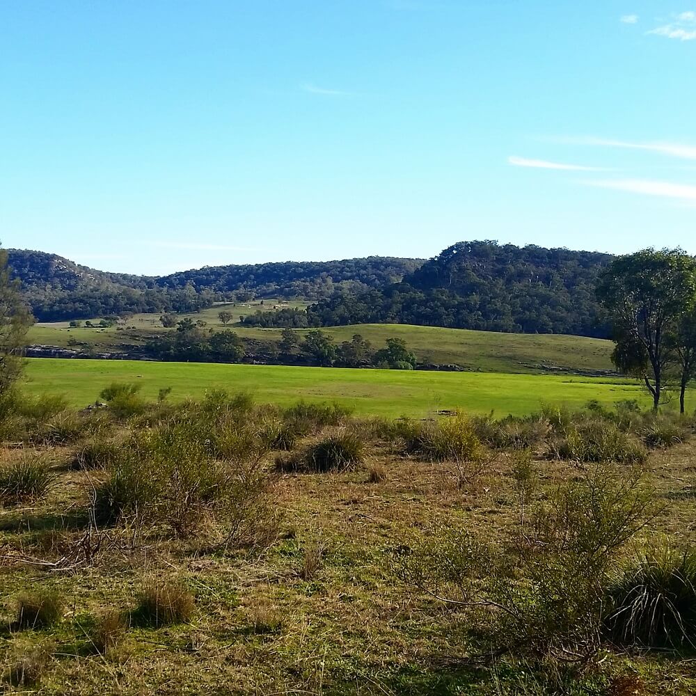 farm near Merriwa