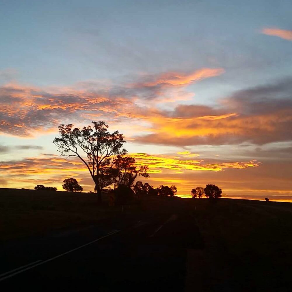 sunset between Harden and Boorowa driving home from work