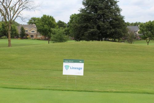 FMG Global Swing For Smiles