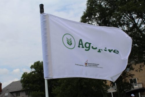 FMG Global Swing For Smiles