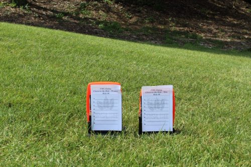 FMG Global Swing For Smiles